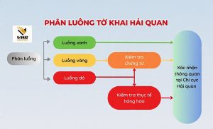 pHAN LUONG